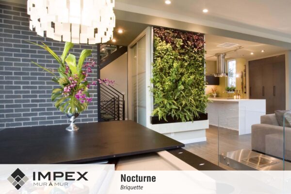 Nocturne – Image 5